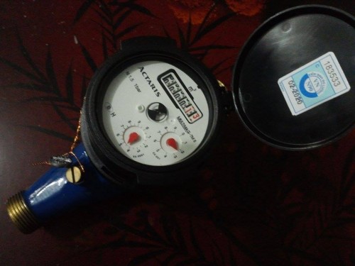Đồng hồ đo nước sinh hoạt actaris