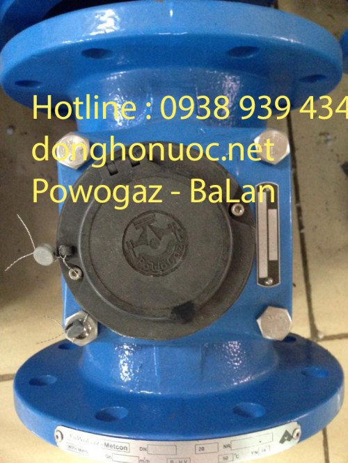 Đồng hồ nước Powogaz DN80